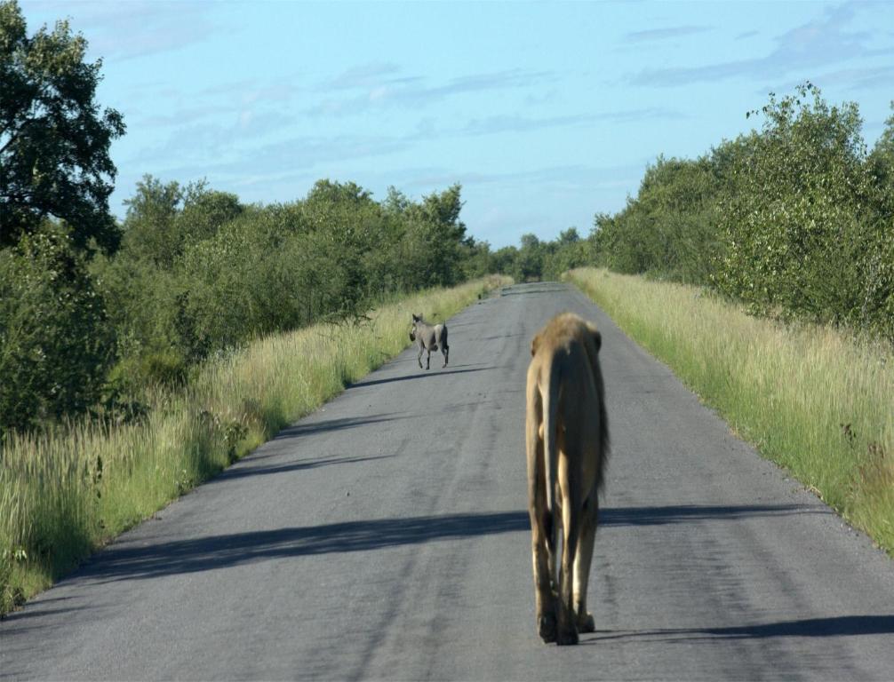 Mokuti Etosha Villa Namutoni Dış mekan fotoğraf