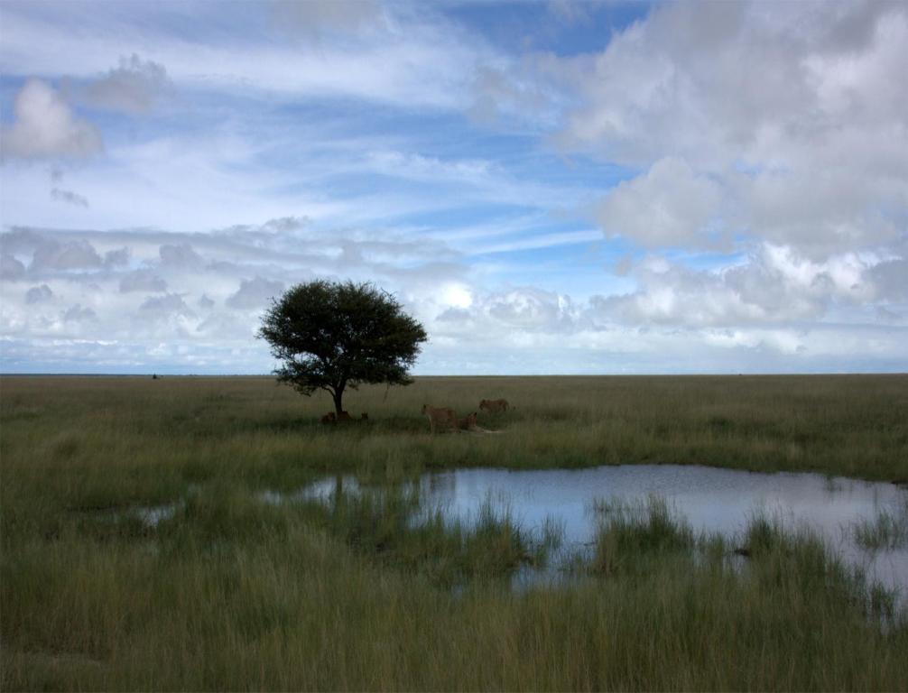 Mokuti Etosha Villa Namutoni Dış mekan fotoğraf
