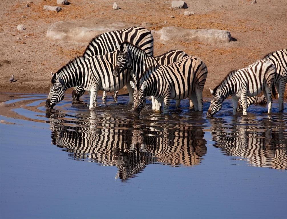 Mokuti Etosha Villa Namutoni Dış mekan fotoğraf